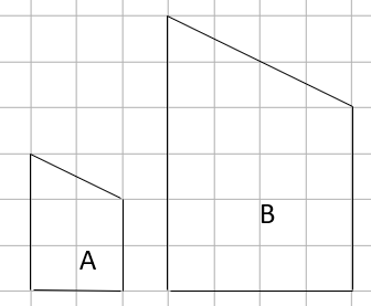 Two trapeziums on a squared background